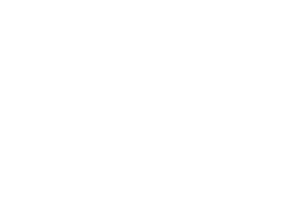 Lyndeau LLC logo in white