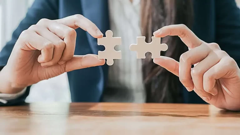 Person holding two puzzle pieces